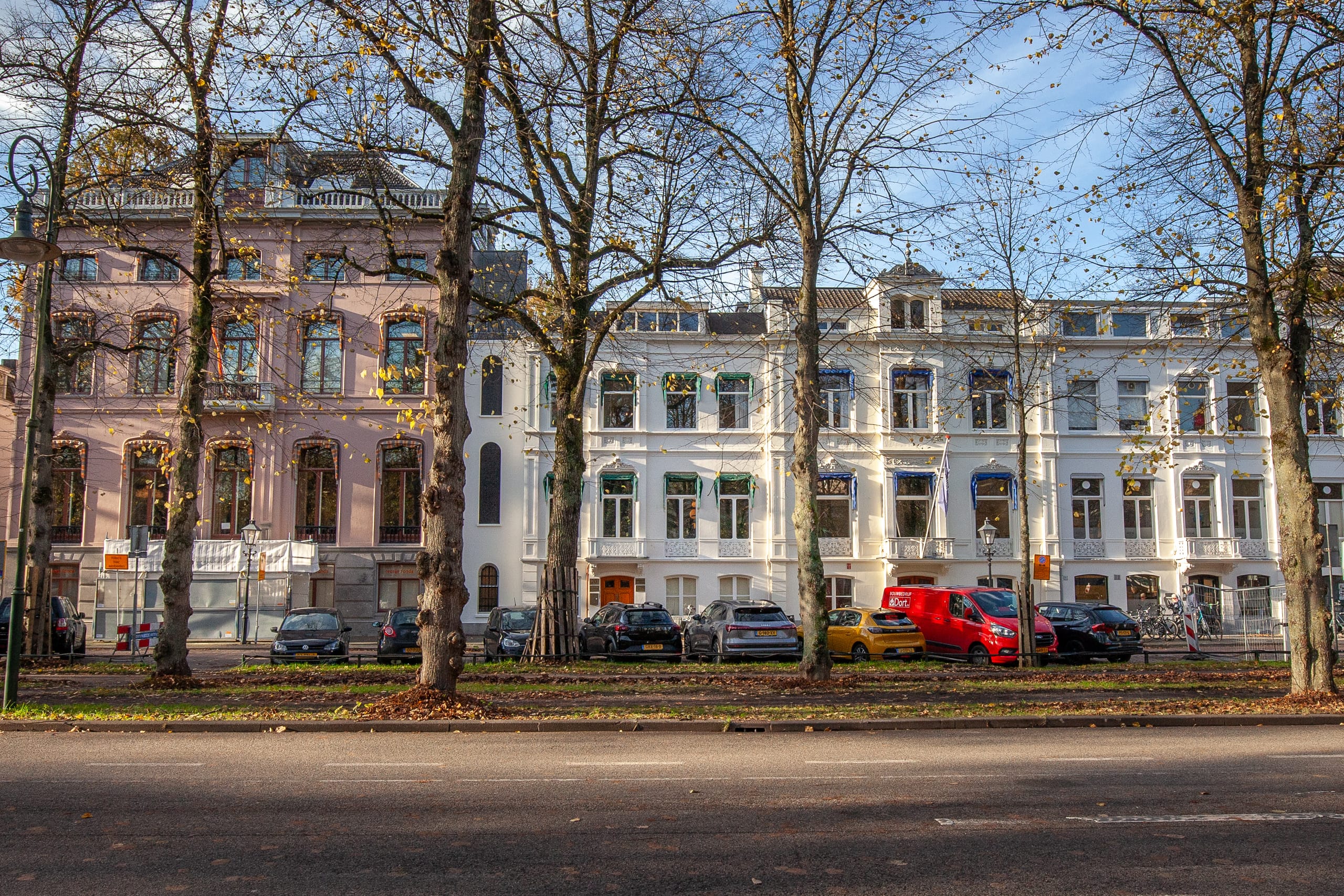Townhouses along a tree-lined street in the Netherlands